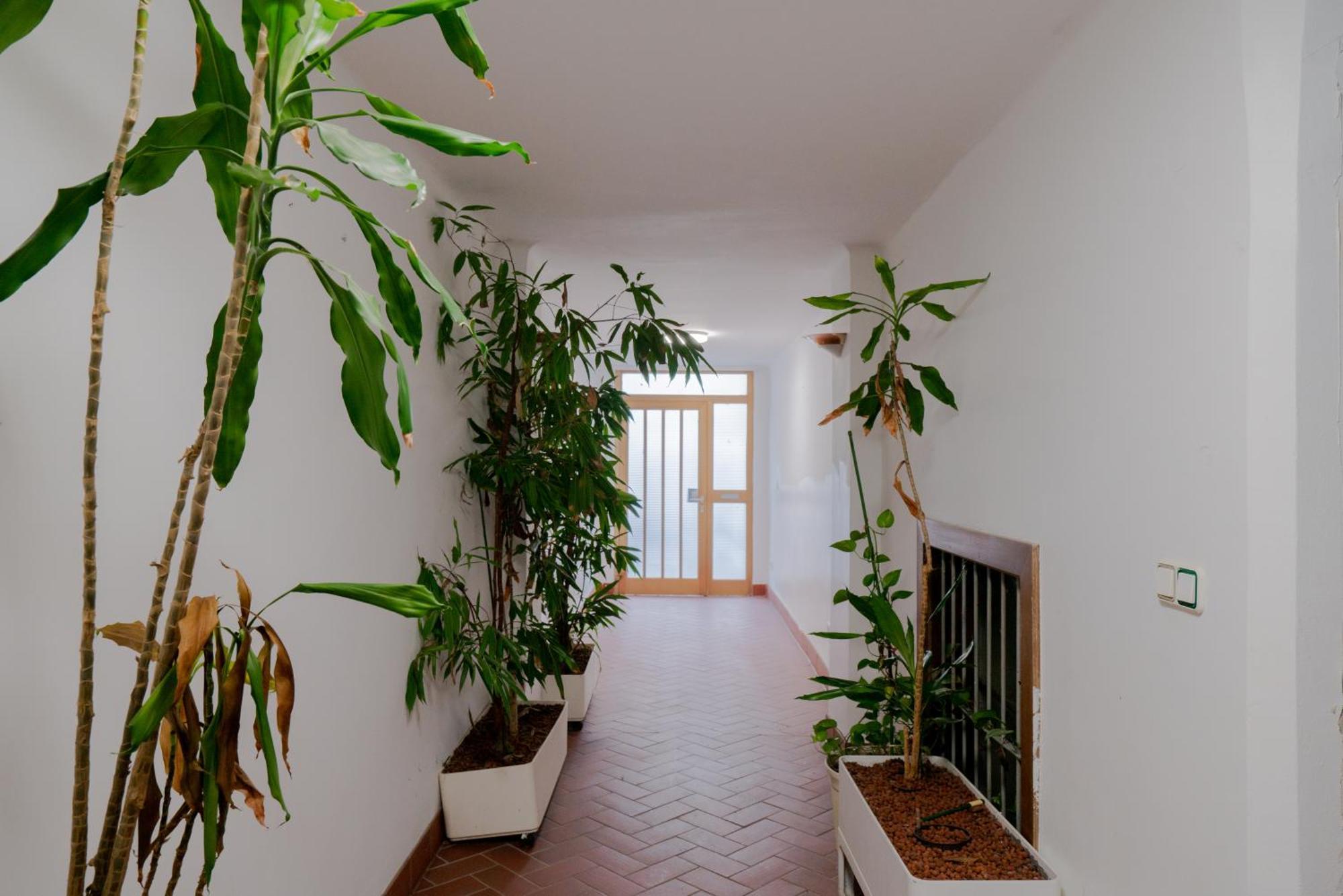 Bessemer - Charming Cottage With Garden Вена Экстерьер фото